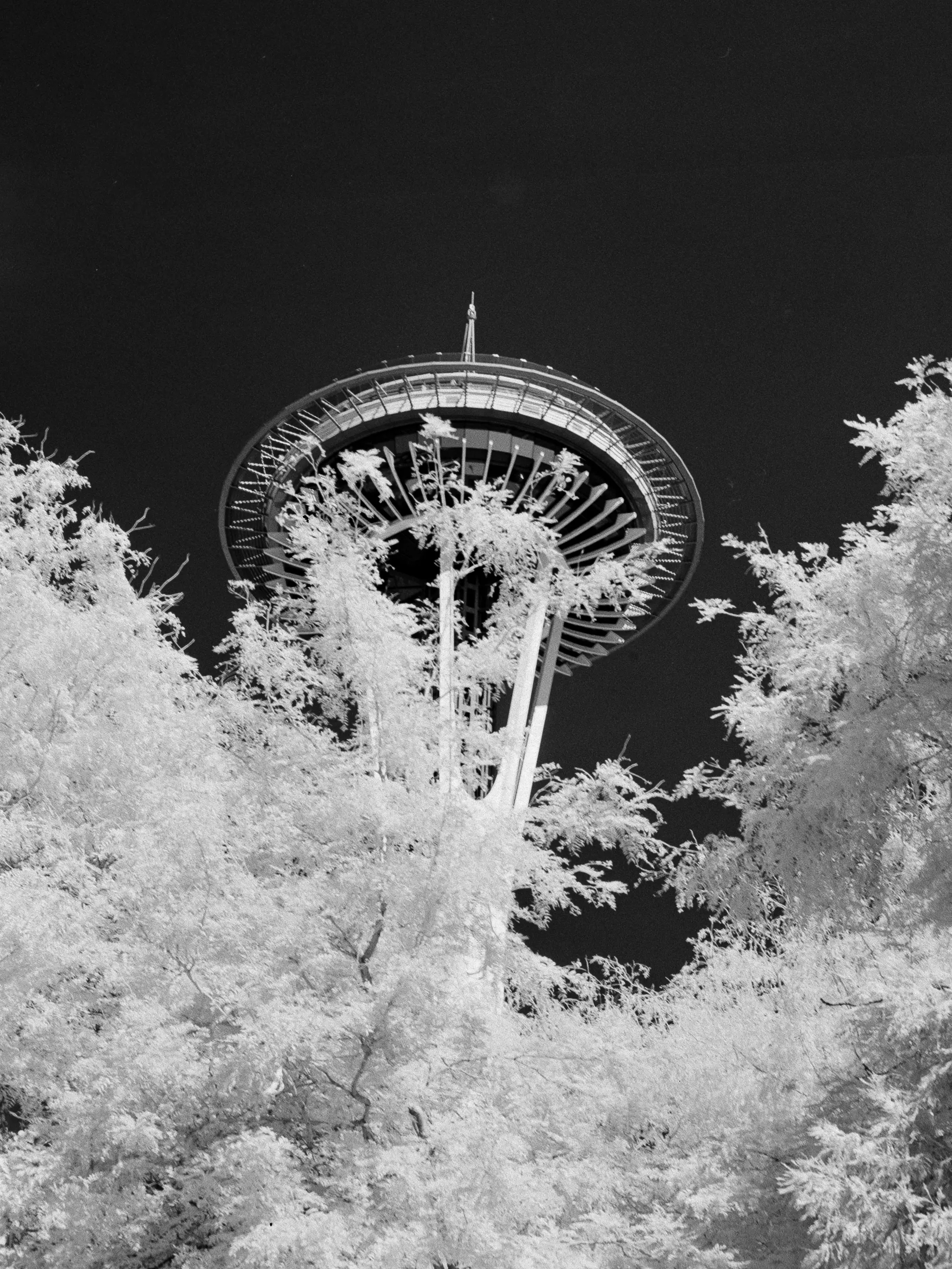 Portfolio photograph by Kento Locatelli